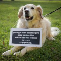 Počinje sezona pirotehnike, najstresnije razdoblje za kućne ljubimce