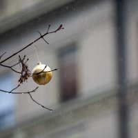 Zagreb: Kišni Advent na Trgu Petra Preradovića