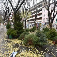 Vjetrovito prijepodne u Puli