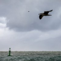 Olujno jugo i kiša u Rijeci