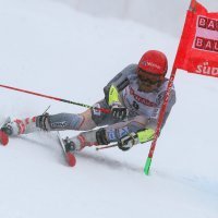 Leif Kristian Nestvold-Haugen