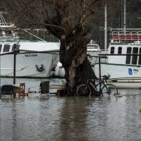 Skradin: Visoki vodostaj rijeke Krke i velike kiše uzrokovale su poplave u centru grada