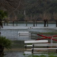Skradin: Visoki vodostaj rijeke Krke i velike kiše uzrokovale su poplave u centru grada