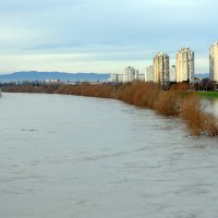 U Zagrebu se Sava izlila iz korita