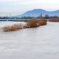 U Zagrebu se Sava izlila iz korita