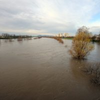 U Zagrebu se Sava izlila iz korita