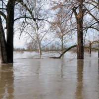 U Zagrebu se Sava izlila iz korita