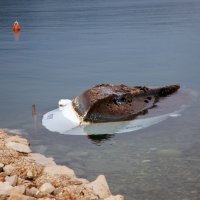 Posljedice nevremena u Brodarici