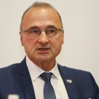 Gordan Grlić Radman