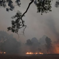 Požari u Australiji