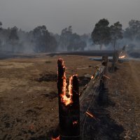 Požari u Australiji