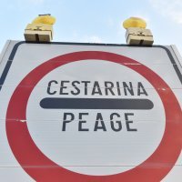 Cestarina