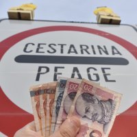 Cestarina