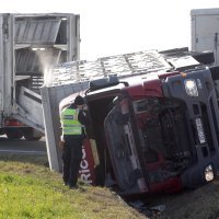 Kamion s 400 svinja sletio s ceste kod Belog Manastira u Baranji
