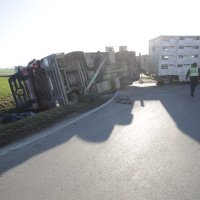 Kamion s 400 svinja sletio s ceste kod Belog Manastira u Baranji