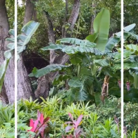 Ljupka Gojić Mikić na odmoru