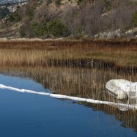 Djelatnici Hrvatskih voda krenuli sa sanacijom onečišćenja koje je nastalo curenjem mazuta iz bivše tvornice Glinice te postavljanjem disperzanata odnosno upijajućih maramica kako se ne bi zagadio i daljnji vodotok
