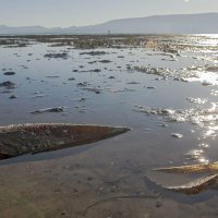 Pomor Periski na ušću Neretve