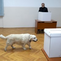 Milan Bandić u društvu supruge Vesne i psa Rudija glasovao u drugom krugu izbora