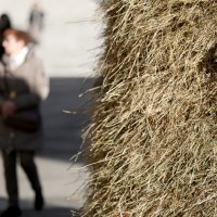 'Stog sijena' Ivana Kožarića