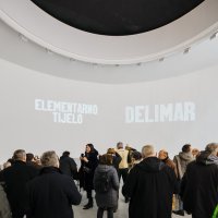 40 godina art ljubavi Vlaste Delimar