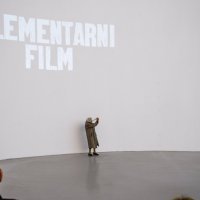 40 godina art ljubavi Vlaste Delimar