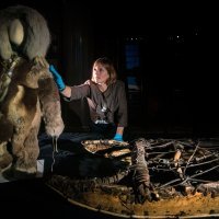 Izložba 'Arktik: kultura i klima'