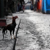 Erupcija vulkana na Filipinima