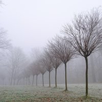 Magla u Zagrebu