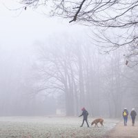 Magla u Zagrebu