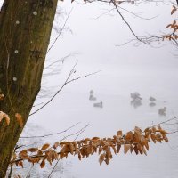 Magla u Zagrebu