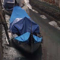 Venecijanski kanali gotovo su presušili