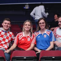 Hrvatski navijači, Hrvatska - Austrija