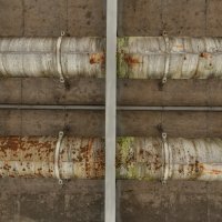 Most slobode nakon obnove