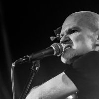 Damir Avdić u Tvornici kulture