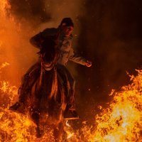 Festival Las Luminarias