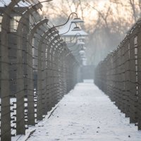 Auschwitz