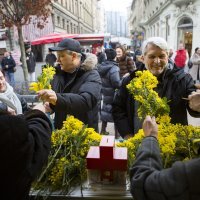 Trg Petra Preradovića, Zagreb