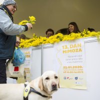 Trg Petra Preradovića, Zagreb