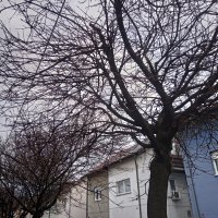 CAT S52 primjeri fotografija