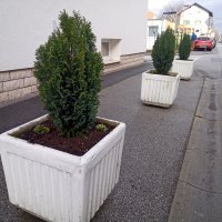 CAT S52 primjeri fotografija