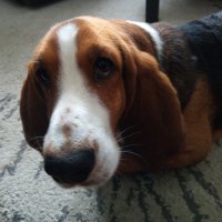 CAT S52 primjeri fotografija