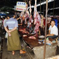 Kineske mokre tržnice