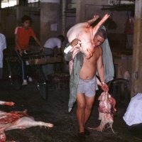 Kineske mokre tržnice