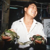 Kineske mokre tržnice