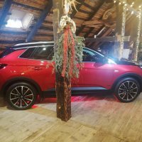 Opel Grandland X Hybrid4