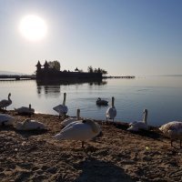 Mađarska Balaton