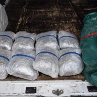 Policija zaplijenila 481 kilogram marihuane