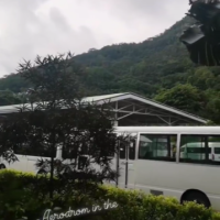 Nevena Rendeli Vejzović - Sejšeli