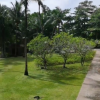 Nevena Rendeli Vejzović - Sejšeli